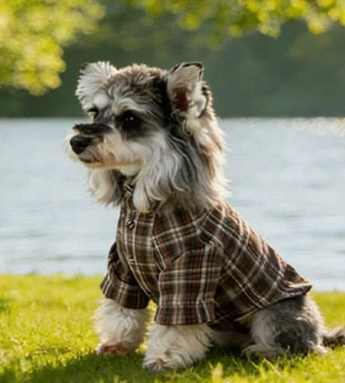 Pet shirts
