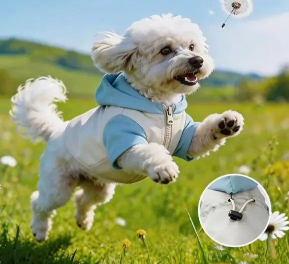 Dog jacket