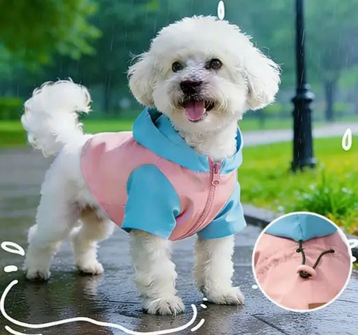 Dog jacket