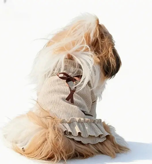 Pet knitted dress