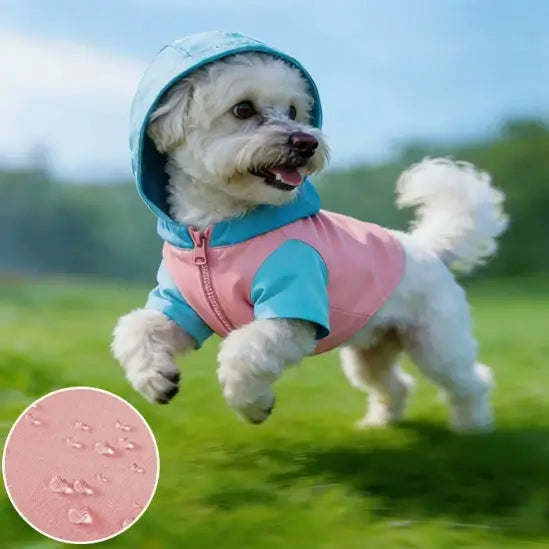 Dog jacket