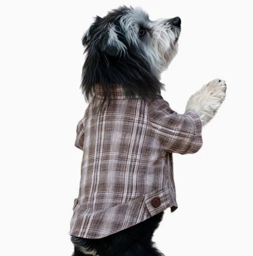 Dog Plaid Retro Shirt