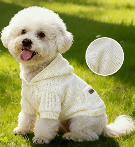 Pet hoodie