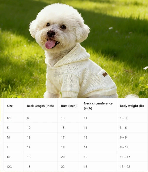 Pet hoodie