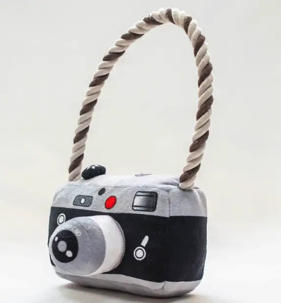 Pet toy imitation camera