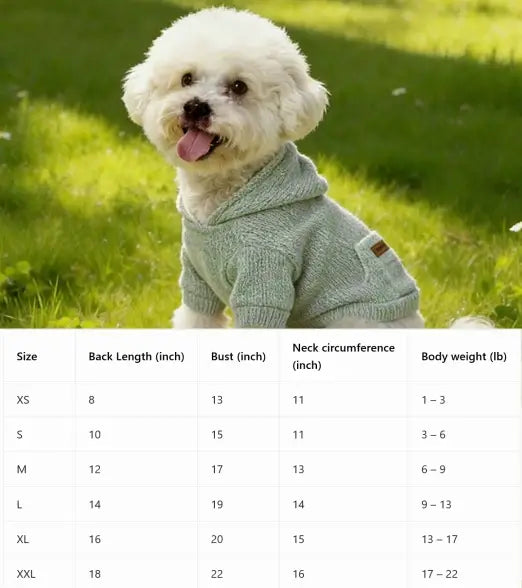 Pet hoodie