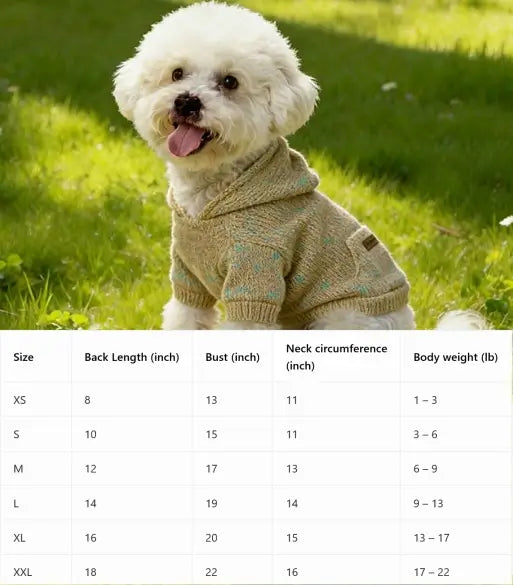 Pet hoodie