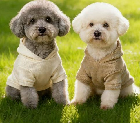 Pet hoodie