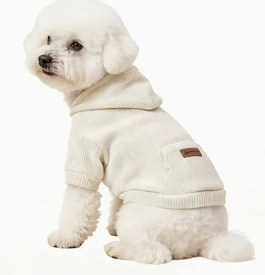 Pet hoodie