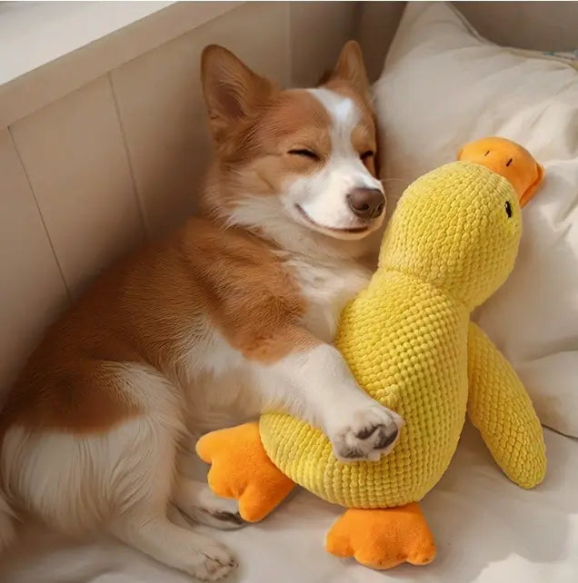 Pet Toy Sleeping Duck