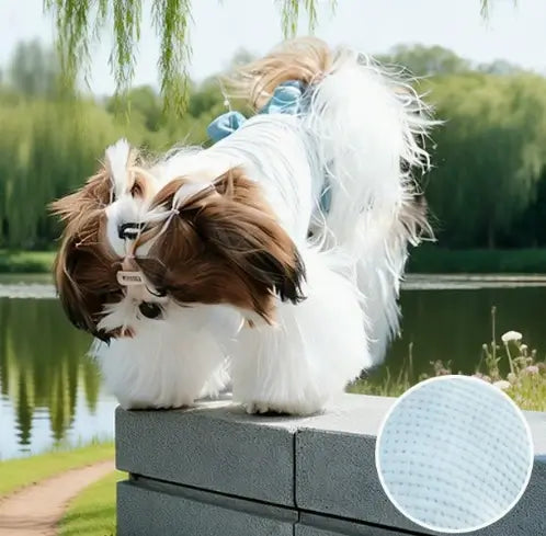 Thin West Highland pet clothing