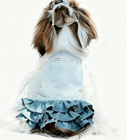 Thin West Highland pet clothing