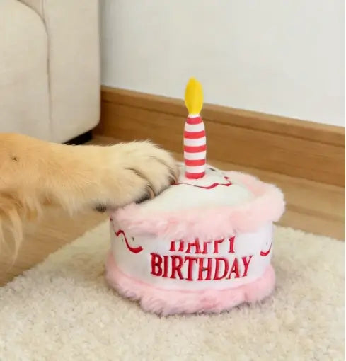 Birthday cake pet toy
