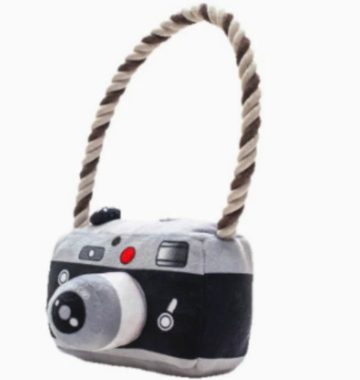 Pet toy imitation camera
